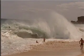 small_9400 1030 hiIMG0081.webp